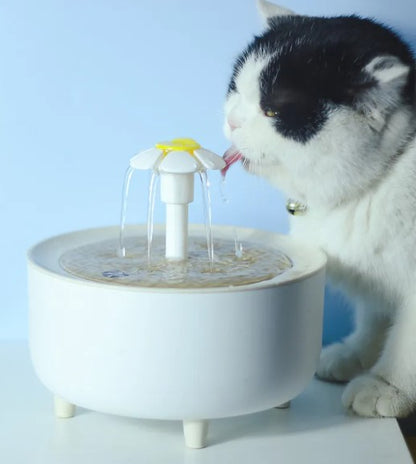 Silent Pet Hydration Station