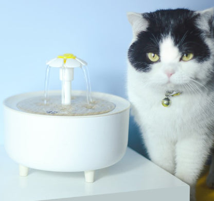 Silent Pet Hydration Station