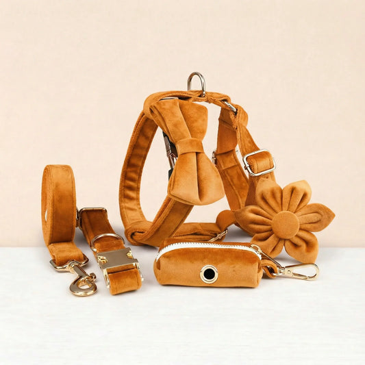 Orange Velvet Set