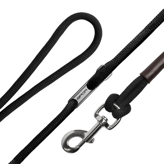 Dog Leashes